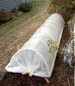 PVC low tunnel construction, covered